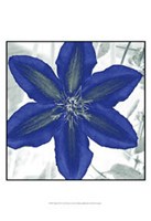 Indigo Star IV Fine Art Print