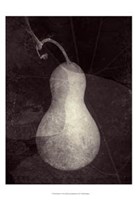 Gourd I Fine Art Print