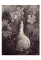 Gourd II Fine Art Print