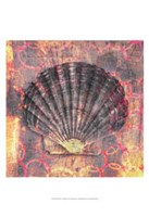 Seashell-Scallop Fine Art Print
