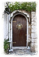 Doors of Europe XIX Fine Art Print