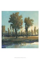 Early Morning Spring Fine Art Print