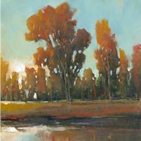 Late Afternoon Fall Fine Art Print