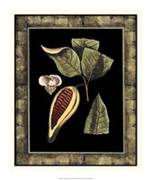 Tropical Bounty I Fine Art Print