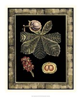 Tropical Bounty II Fine Art Print