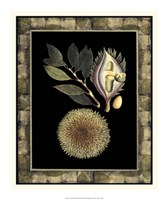 Tropical Bounty III Fine Art Print