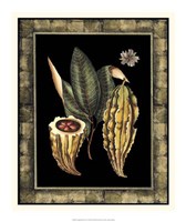 Tropical Bounty IV Fine Art Print