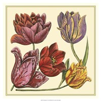 Floral Spray II Fine Art Print