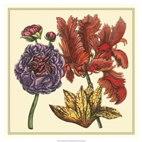 Floral Spray III Fine Art Print