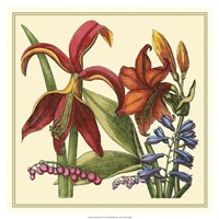 Floral Spray IV Fine Art Print