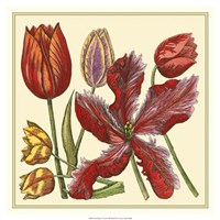 Floral Spray V Fine Art Print