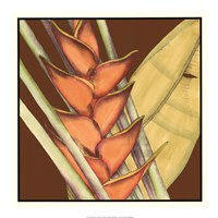 Striking Tropical IV Fine Art Print