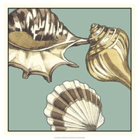 Shell Trio on Blue III Fine Art Print