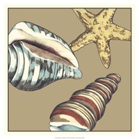 Shell Trio on Khaki I Fine Art Print