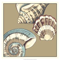 Shell Trio on Khaki II Fine Art Print