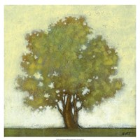 Spring Morning Fine Art Print