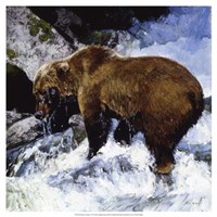 Katmai Cascade Fine Art Print