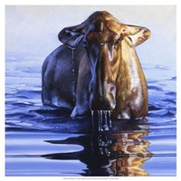 Dreadnought Fine Art Print