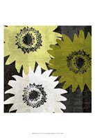 Bloomer Squares II Fine Art Print