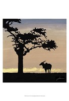 Savanna II Fine Art Print