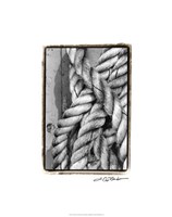 Tied Up I Fine Art Print