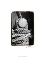 Tied Up II Fine Art Print