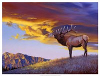 Reveille Fine Art Print