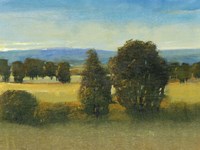 Verdant Meadow I Fine Art Print