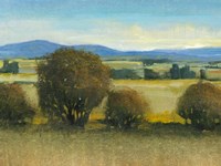 Verdant Meadow II Fine Art Print