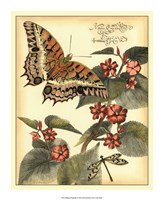Whimsical Butterflies II Framed Print