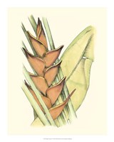 Elegant Tropics IV Fine Art Print