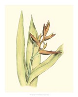 Elegant Tropics V Fine Art Print