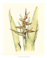 Elegant Tropics VI Fine Art Print