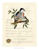 Romantic Dove II Fine Art Print