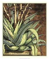 Graphic Aloe I Fine Art Print