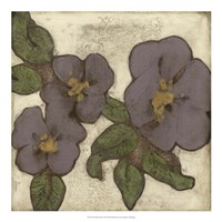 Plum Blossoms I Framed Print