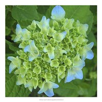 June's Treasure IV Fine Art Print