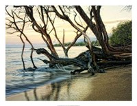 Reaching for the Sea I Fine Art Print