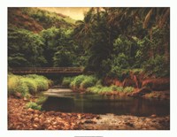 From the Mountains Fine Art Print