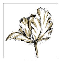 Tulip Sketch III Fine Art Print