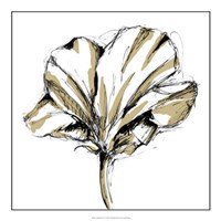 Tulip Sketch IV Fine Art Print