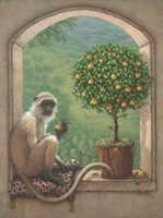 Monkey and Pear Tree Fine Art Print