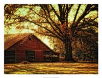 Last Tree Standing Fine Art Print