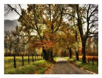 Rainy Morning on Sparks Lane Fine Art Print