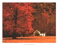 Farm House on a Autumn Morn' Fine Art Print