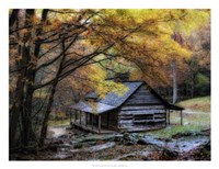 Damp Autumn Day Fine Art Print
