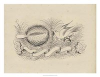 Victorian Quill II Fine Art Print