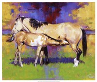 Contentment Fine Art Print