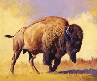 Tatanka Fine Art Print