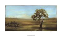 Panoramic Field I Framed Print